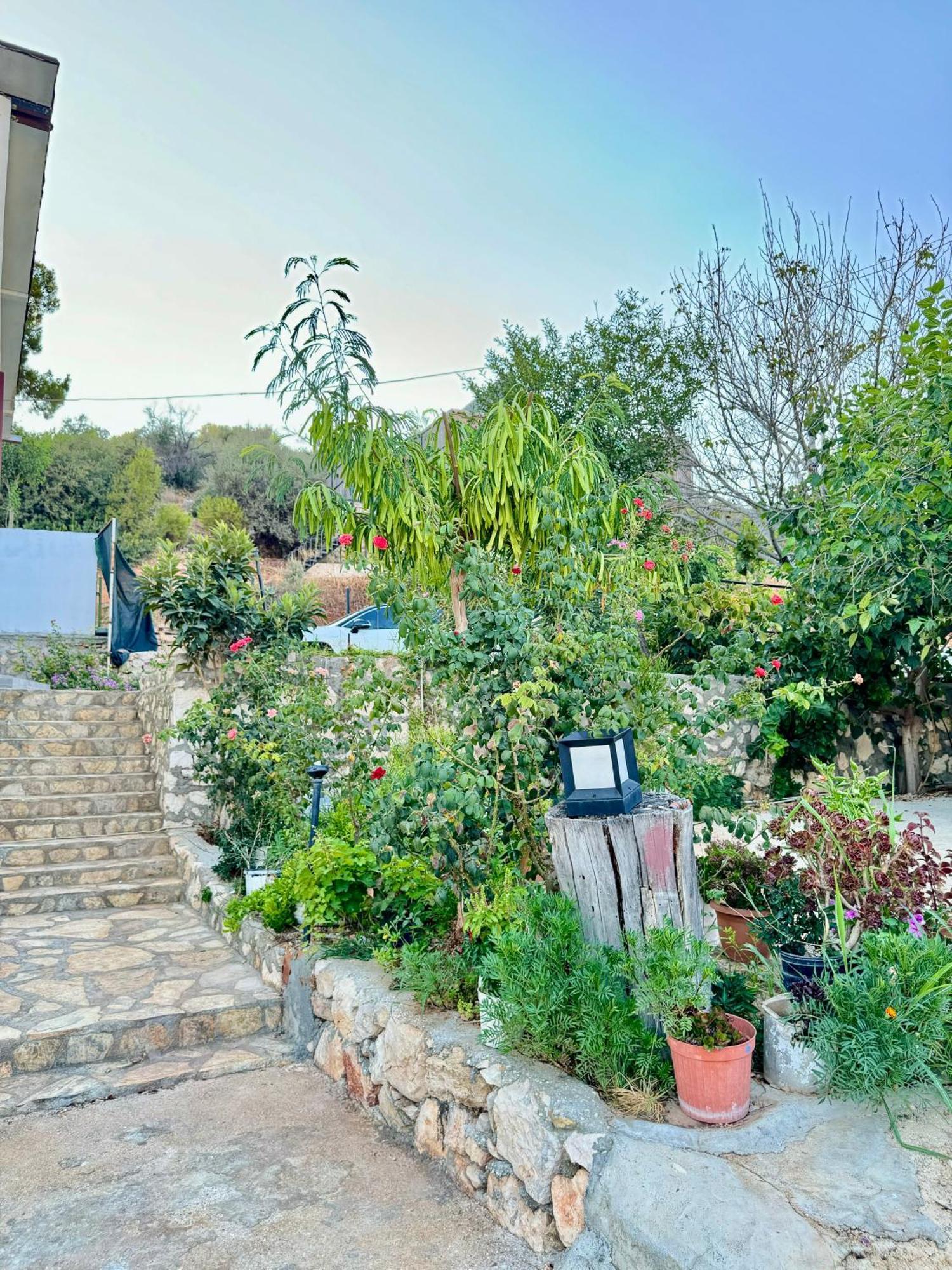 Rose Hotel B&B Patara Exteriör bild