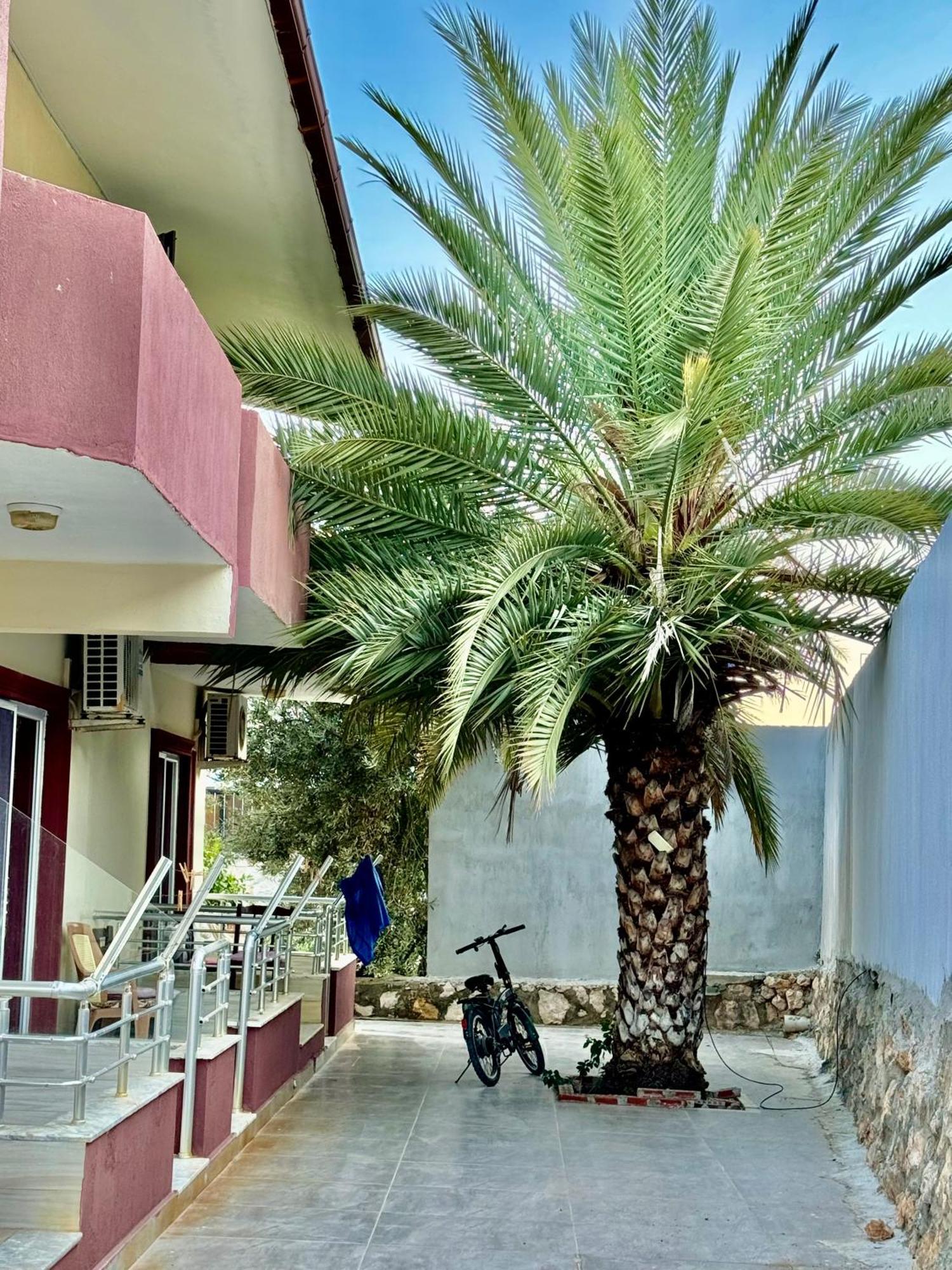Rose Hotel B&B Patara Exteriör bild