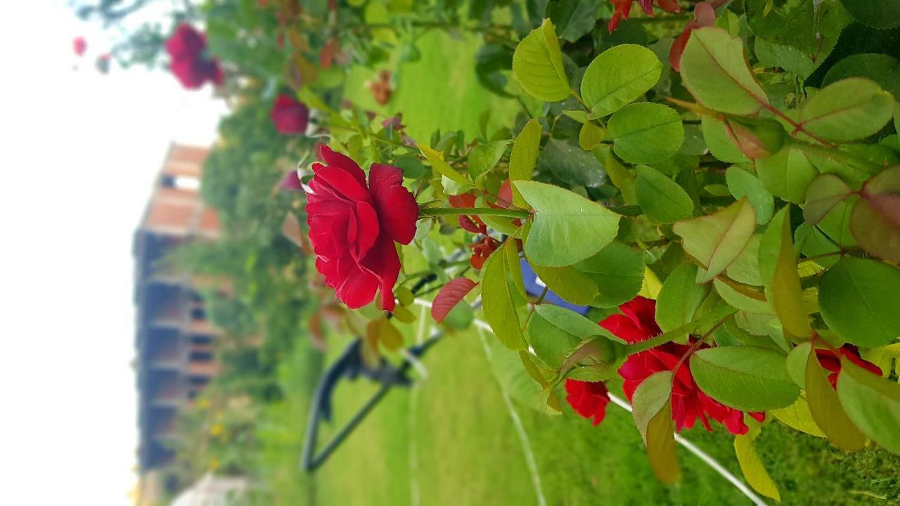 Rose Hotel B&B Patara Exteriör bild